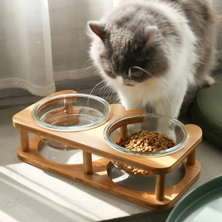 Glass Cat Food Bowl CJ