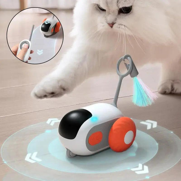 Interactive Cat Toy USB CJ