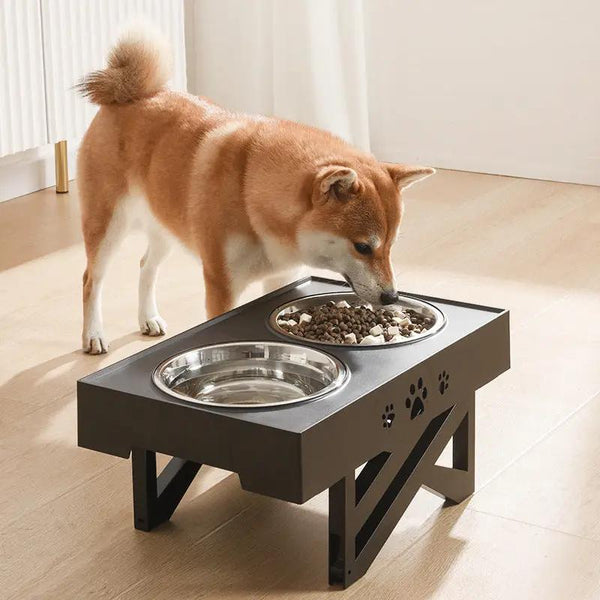 Adjustable Dog Food Bowl CJ