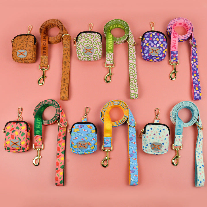 Pet Poop Bag Dispenser with Hand Rope FurPaw Friends