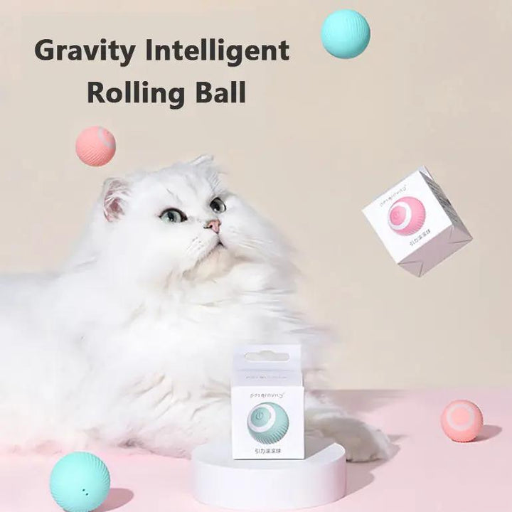 Cat Gravity Smart Rolling Ball CJ