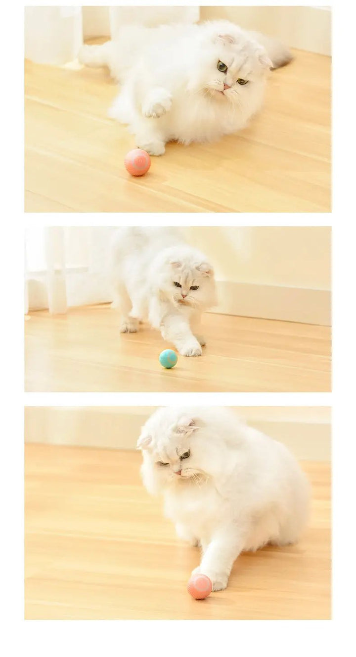 Cat Gravity Smart Rolling Ball CJ