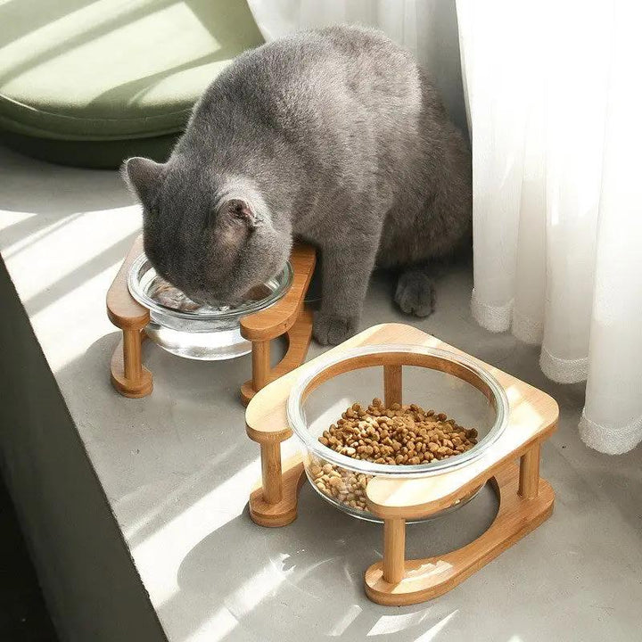 Glass Cat Food Bowl CJ