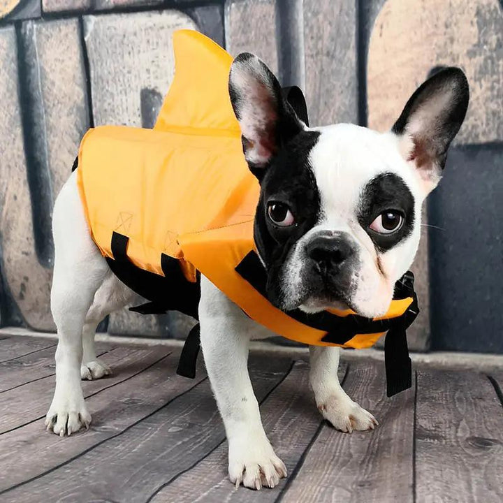 Pet Shark Life Jacket CJ