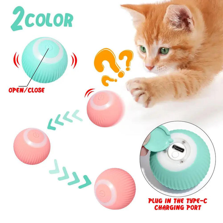 Cat Gravity Smart Rolling Ball CJ